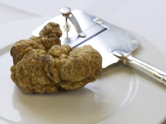 Tartufo bianco: prezzi in tenuta ma solo grazie alla scarsità dell’offerta