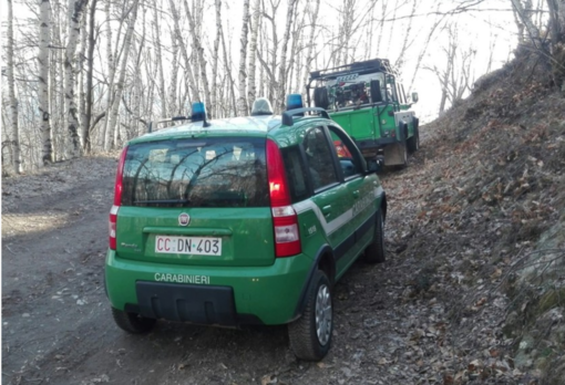 Manoppello, avvelena il cane e incendia l’auto di un tartufaio: scovato bracconiere