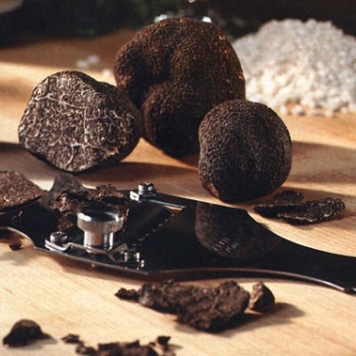 TARTUFO NERO PREGIATO, BERLINGERI: “STAGIONE OTTIMA, MA LA FILIERA È IN DIFFICOLTÀ”