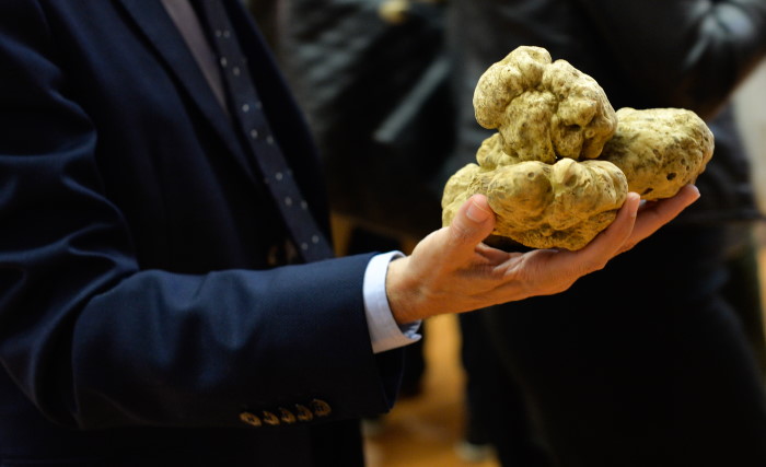 Tartufo alle stelle, in alcune regioni si raccoglie fino al 15 gennaio