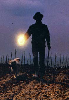 Oscar 2021: nella shortlist c’è un documentario sul Tartufo Bianco d’Alba